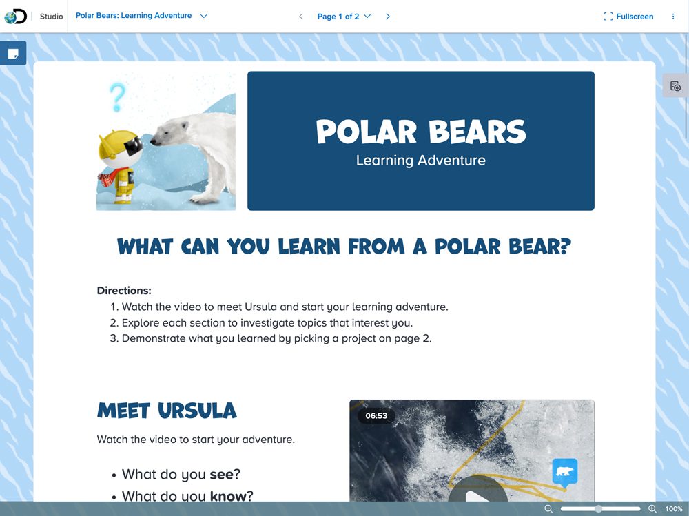 Polar Bears Learning Adventure