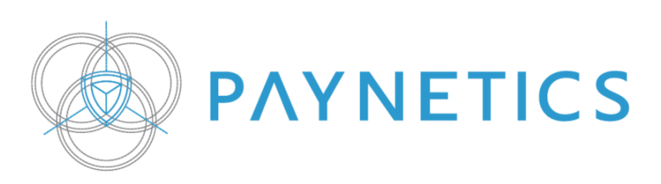 paynetics